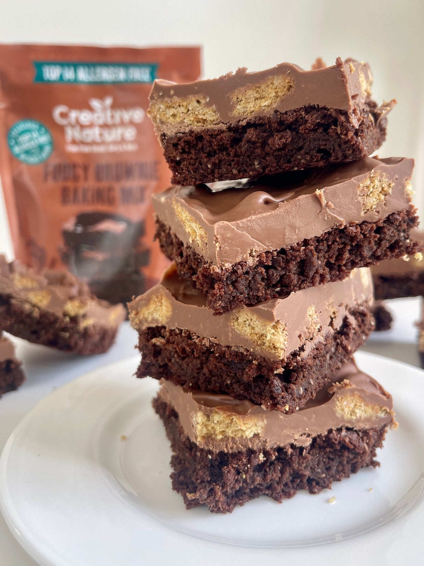 Fudgy Brownie Baking Mix 250g