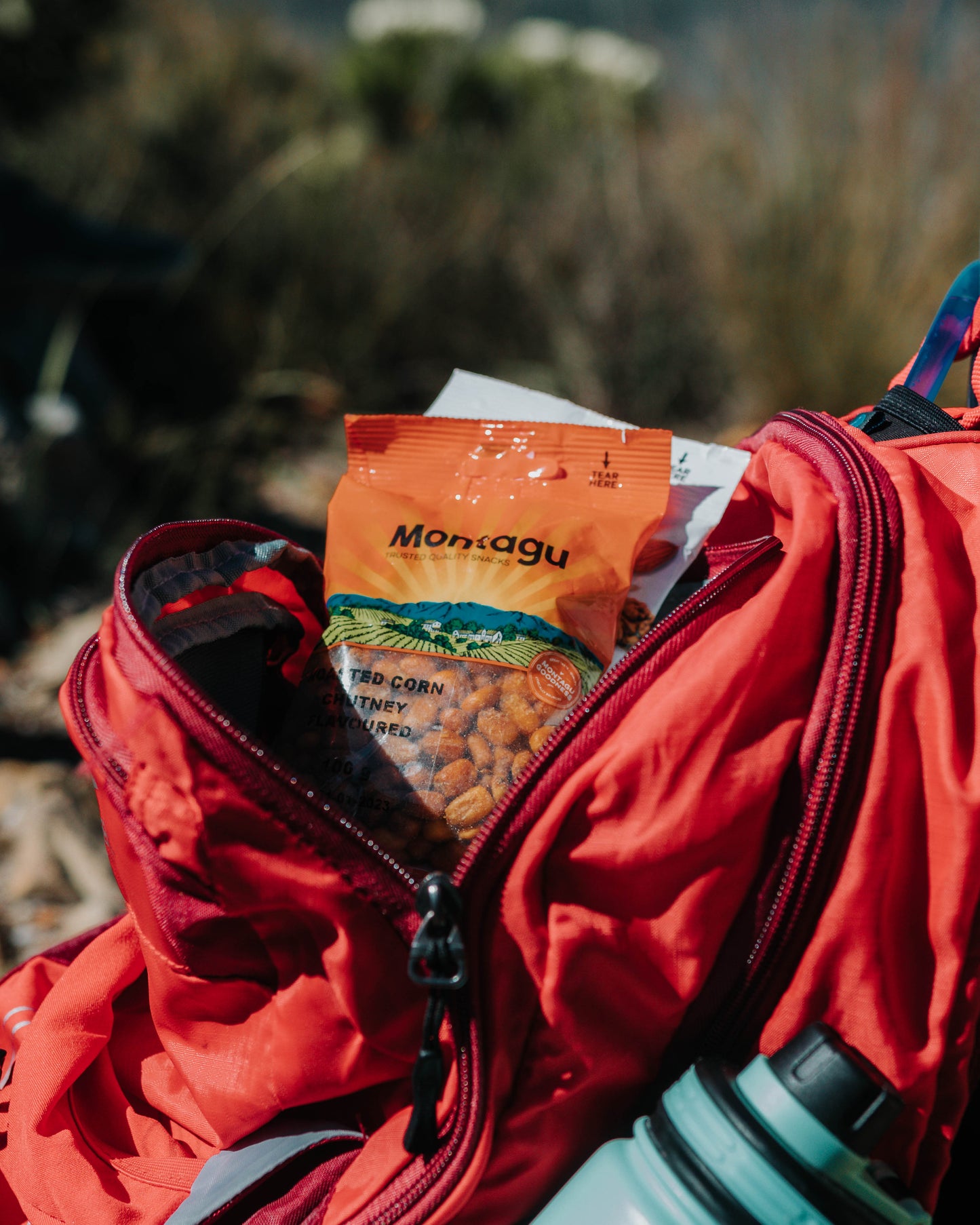 Montagu: Roasted Corn – Chutney Flavour 100g