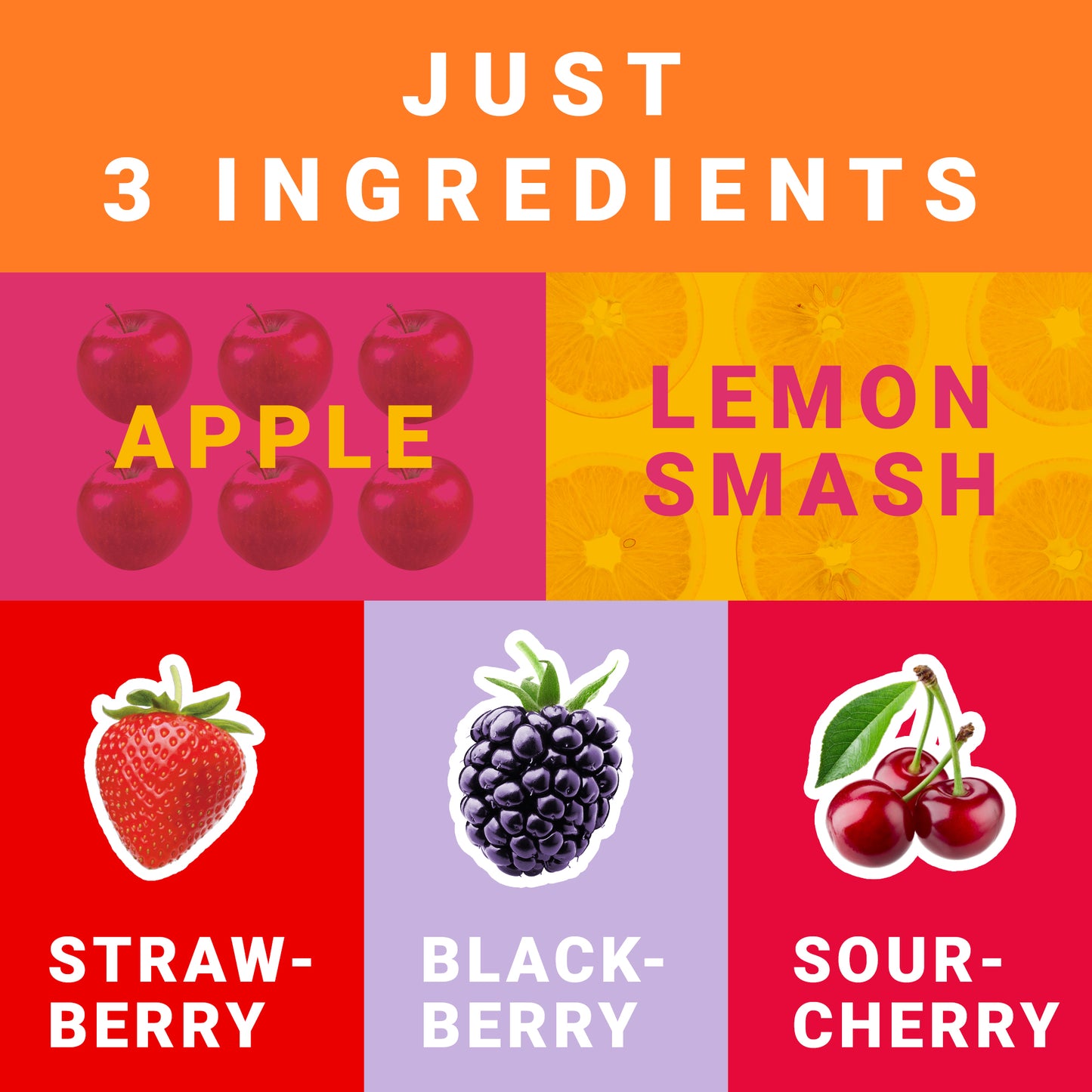 Dried Fruit Roll Ups Strawberry, Blackberry and Sour Cherry 25g x 9 Pack