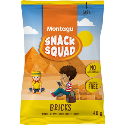 Montagu: Snack Squad Fruit Bricks – Multi Flavoured