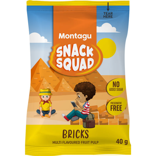 Montagu: Snack Squad Fruit Bricks – Multi Flavoured