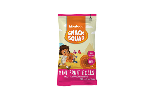 Montagu: Snack Squad Mini Fruit Rolls – Assorted